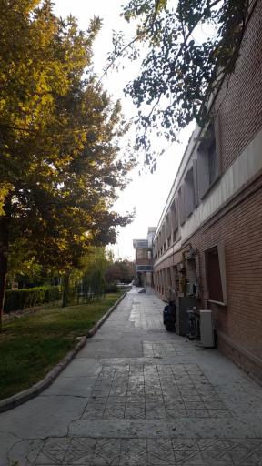 دانشکده تربیت بدنی و علوم ورزشی