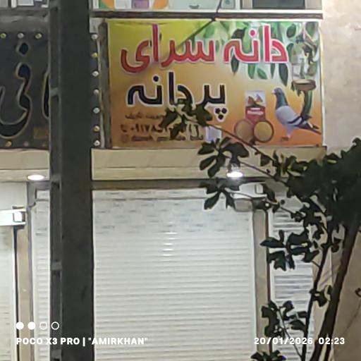 دانه سرای پردانه