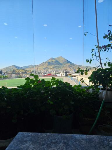 عکس صبحانه خوری یامی