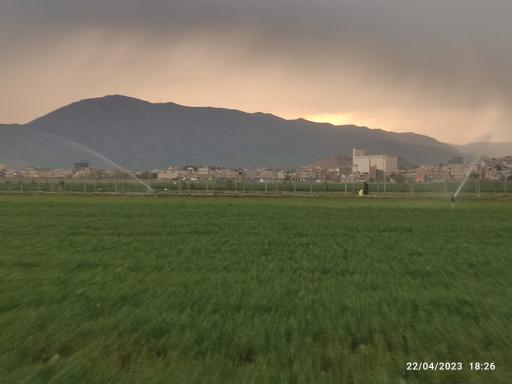 عکس فضای سبز