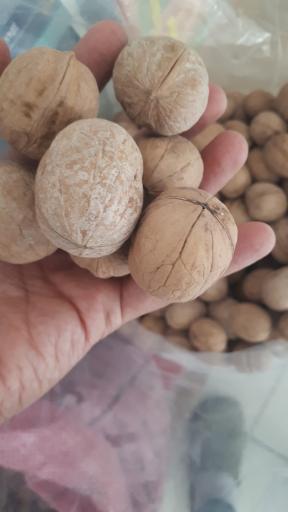 عکس مواد غذایی ترکاشوند