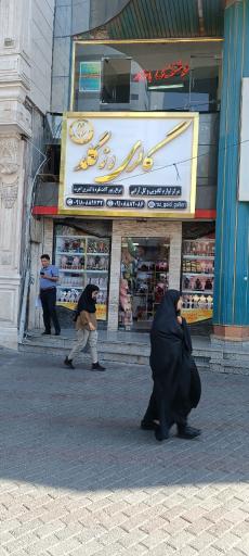 عکس نقره رضازاده رز گلد 