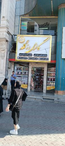 عکس نقره رضازاده رز گلد 