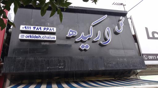 عکس گلفروشی ارکیده _ مدبر