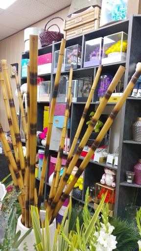 عکس گلفروشی ارکیده _ مدبر