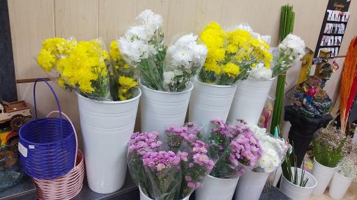 عکس گلفروشی ارکیده _ مدبر