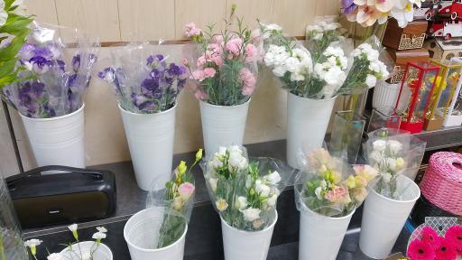 عکس گلفروشی ارکیده _ مدبر