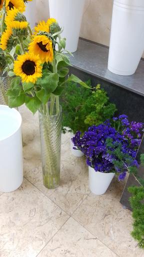 عکس گلفروشی ارکیده _ مدبر