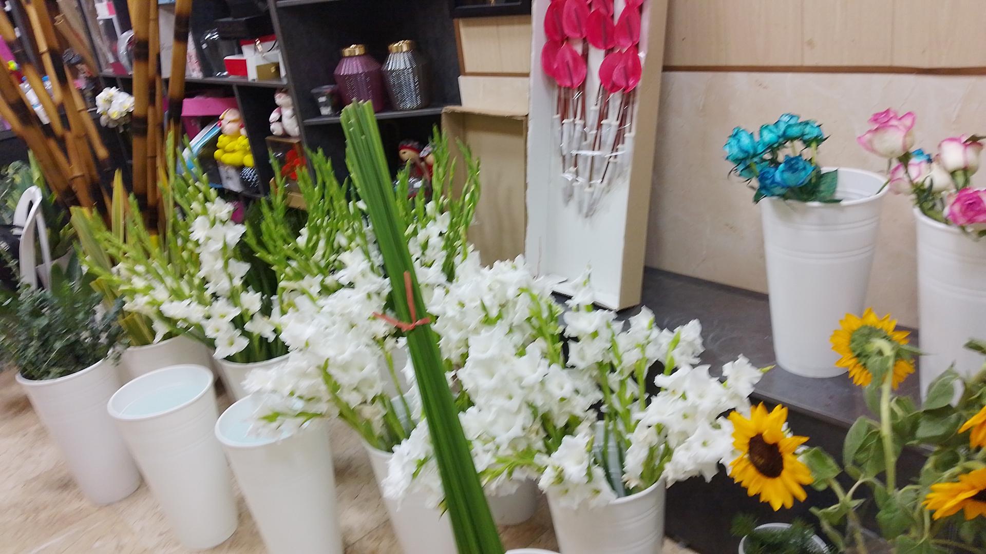 عکس گلفروشی ارکیده _ مدبر