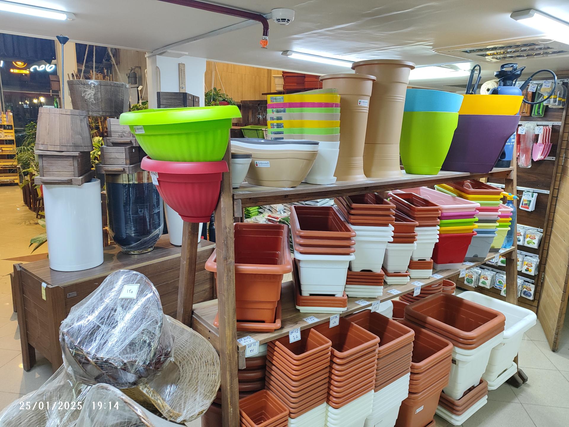 عکس گالری گل‌های آپارتمانی رستان