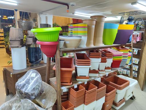 عکس گالری گل‌های آپارتمانی رستان