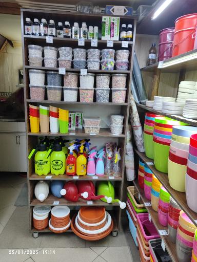 گالری گل‌های آپارتمانی رستان