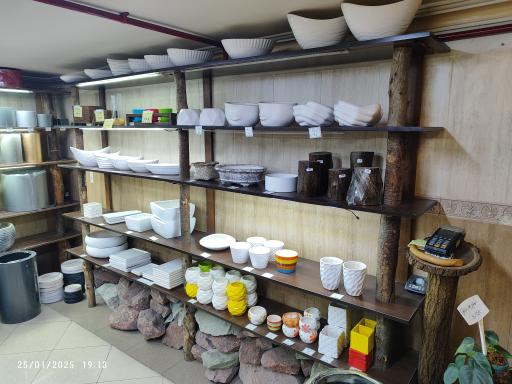 عکس گالری گل‌های آپارتمانی رستان