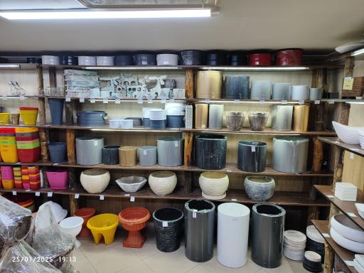 عکس گالری گل‌های آپارتمانی رستان