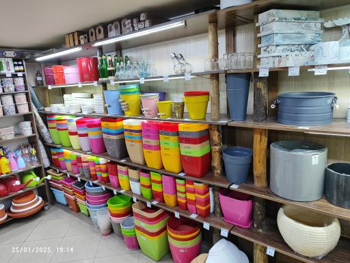 گالری گل‌های آپارتمانی رستان