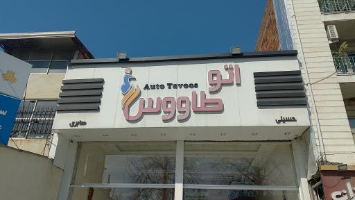 عکس اتو طاووس