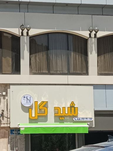 عکس شید گل 