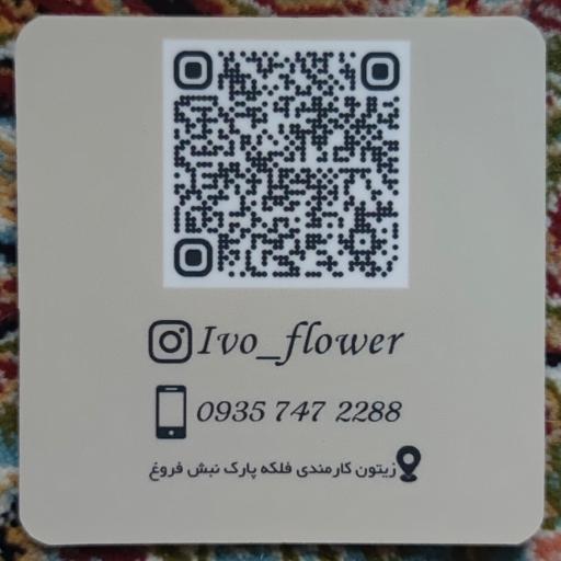 عکس گل ايوو