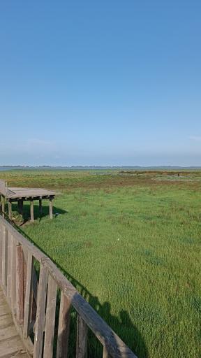 عکس تالاب انزلی