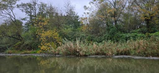 عکس تالاب انزلی