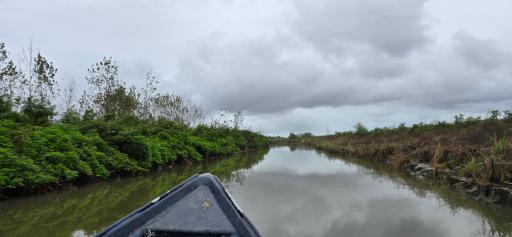 عکس تالاب انزلی