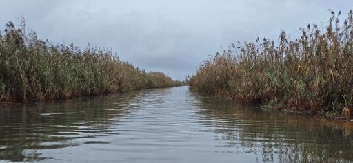 عکس تالاب انزلی