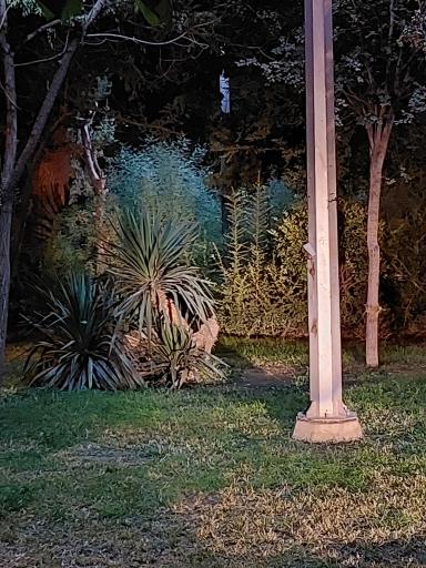 عکس میدان چهل و نهم