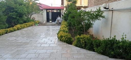 عکس سوییت نیما