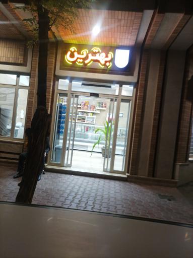 عکس مرغ و ماهی بهترین