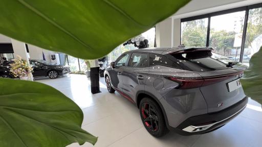 نمایندگی فونیکس معتمدی کد ۴۴۴