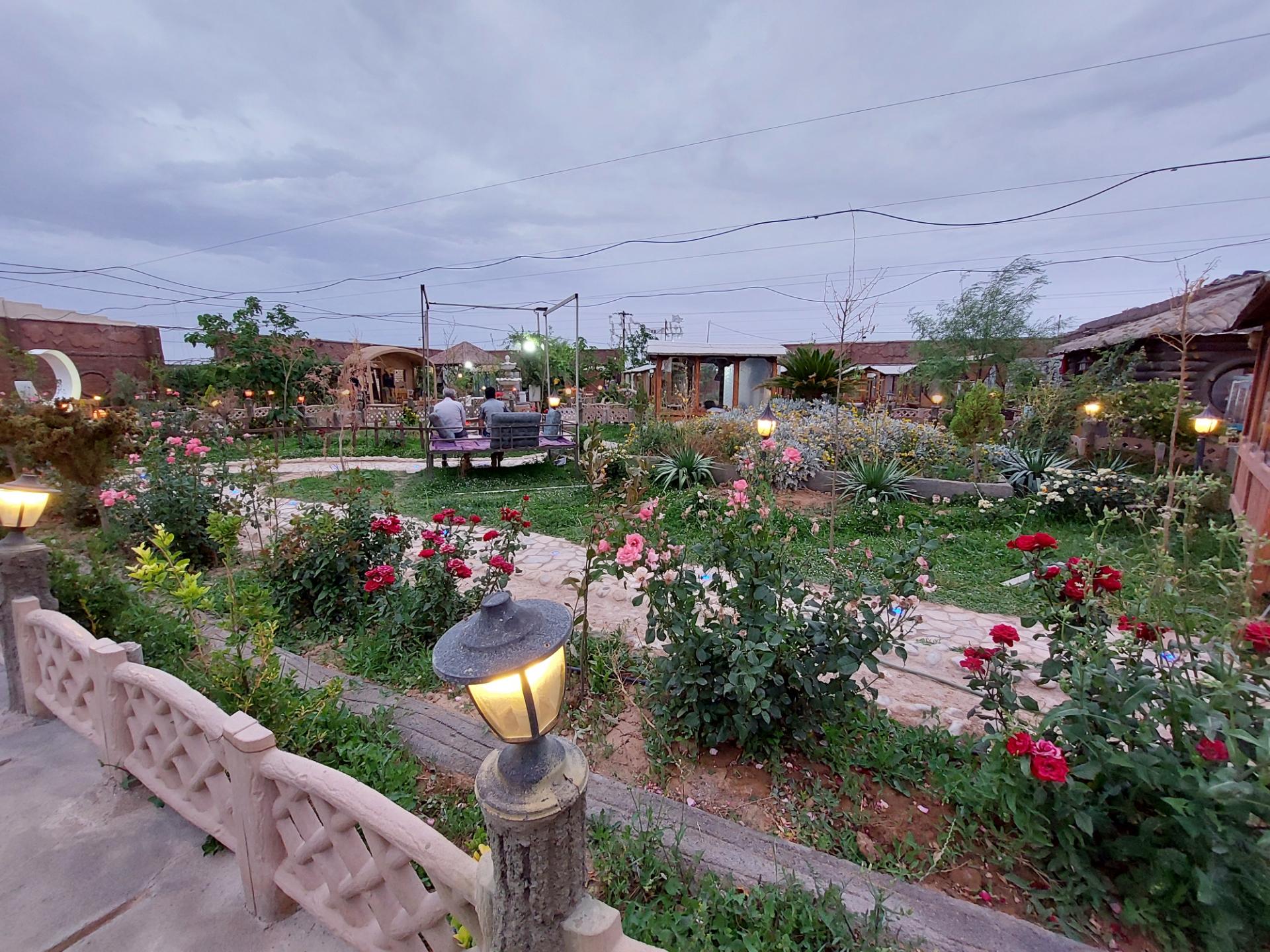 عکس باغ امیران 