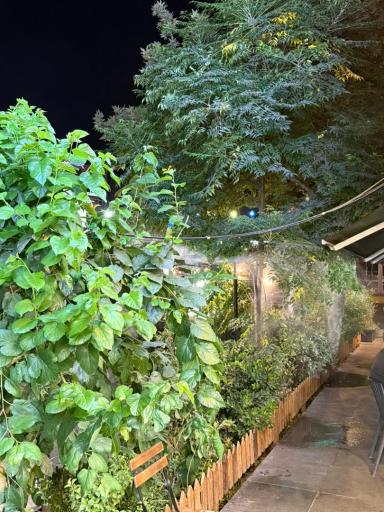 عکس گریل باربیکیو