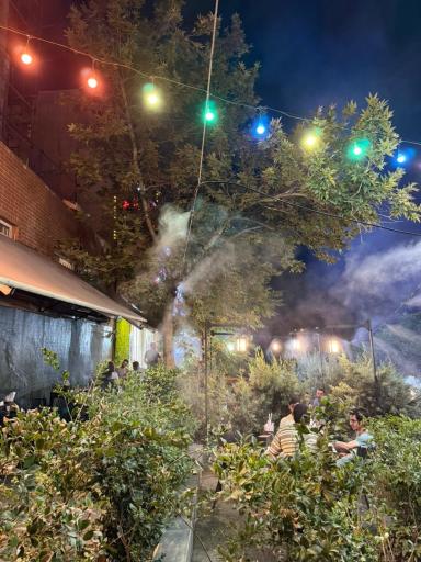 عکس گریل باربیکیو