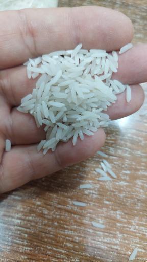 عکس برنج عطری روستا