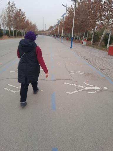 عکس بوستان ولایت (درب شماره۲)