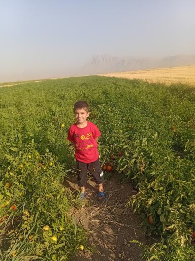 عکس تاسوله جان