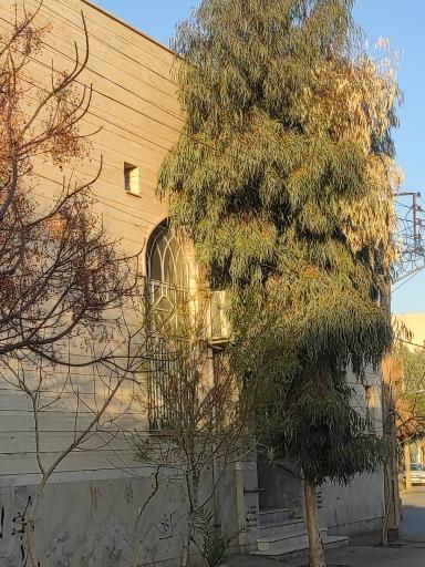 مسجد الرضا (ع)