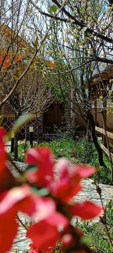 عکس رستوران پولک