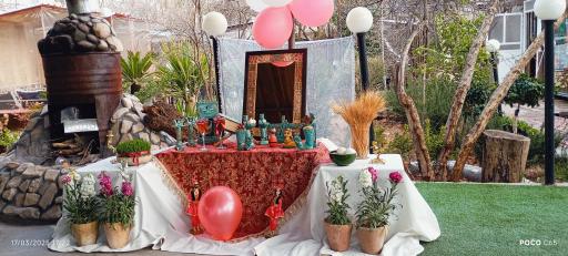 عکس کافه باغ زندگی 