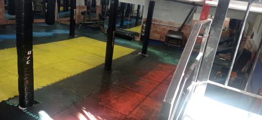 عکس باشگاه رزمی اکسیژن