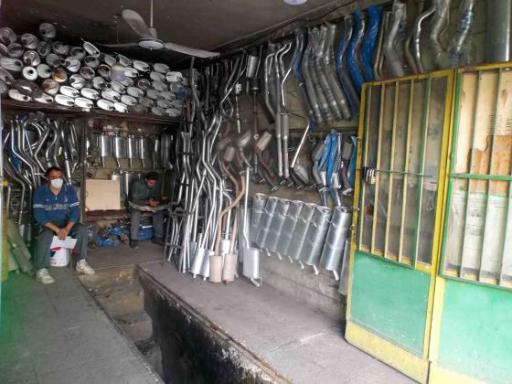 عکس اگزوز سید