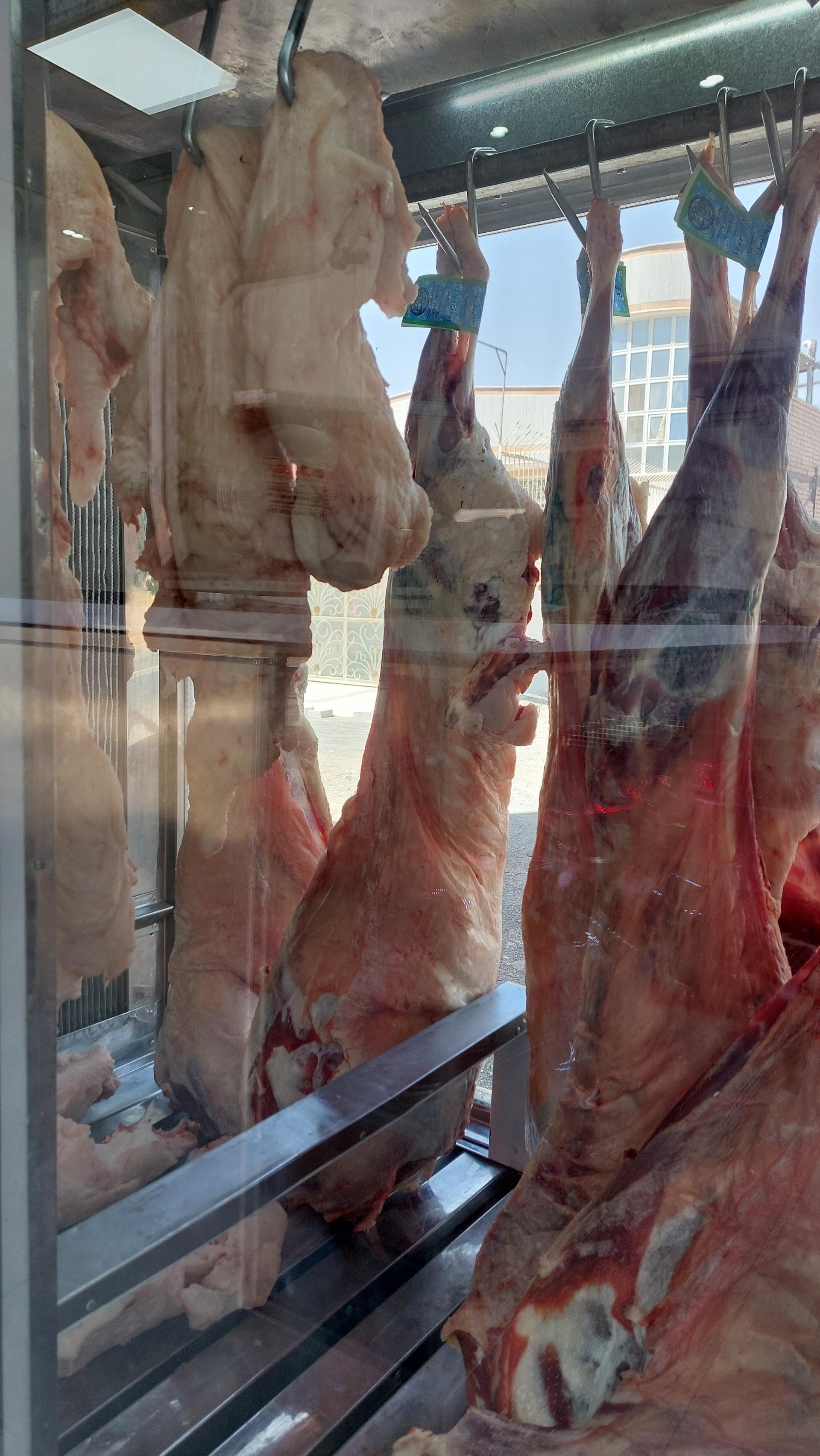 عکس هایپر گوشت پیچک