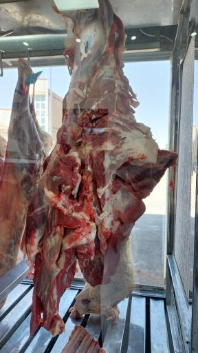 عکس هایپر گوشت پیچک