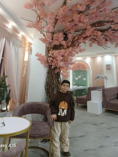 عکس رستوران هانی