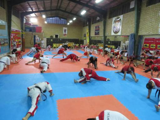 عکس آموزش کیک بوکسینگ شیهان حنیفه