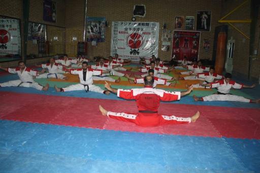 عکس آموزش کیک بوکسینگ شیهان حنیفه