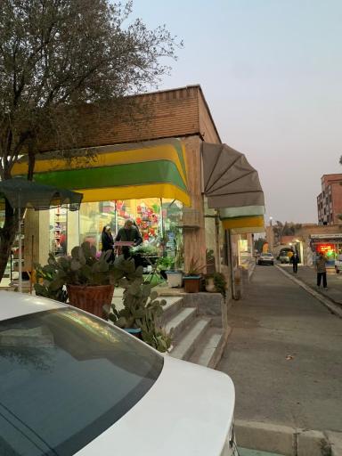 عکس گل فروشی خانه سبز