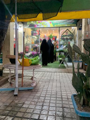 عکس گل فروشی خانه سبز