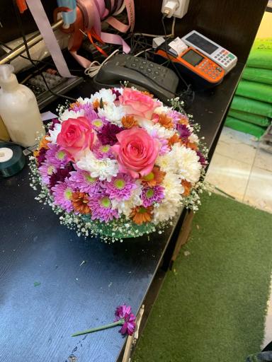 عکس گل فروشی خانه سبز