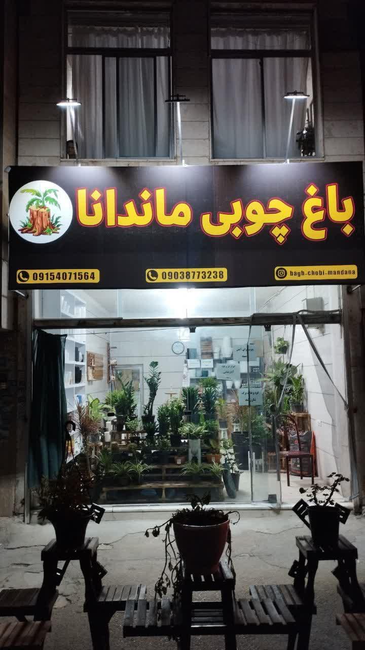 عکس باغ چوبی ماندانا